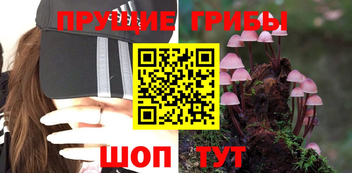 Мценск  Галлюциногенные грибы GOLDEN TEACHER  Вход с VPN 